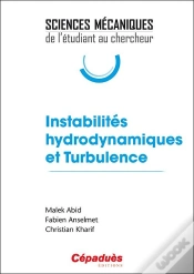 Capa do artigo Instabilités Hydrodynamiques Et Turbulence