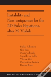 Instability And Non-Uniqueness For The 2d Euler Equations, After M. Vishik