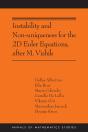 Instability And Non-Uniqueness For The 2d Euler Equations, After M. Vishik - Preview