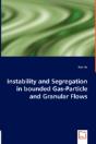 Instability And Segregation In Bounded Gas-Particle And Granular Flows - Preview
