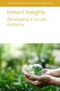 Instant Insights: Developing A Circular Economy - Preview