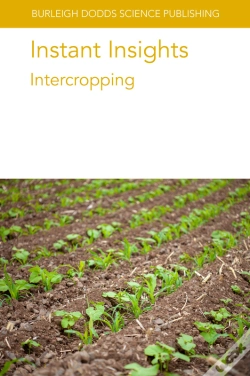 Capa do artigo Instant Insights: Intercropping