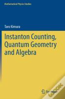 Instanton Counting, Quantum Geometry And Algebra