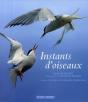 Instants D'Oiseaux - Preview
