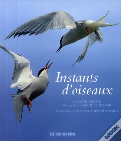 Capa do artigo Instants D'Oiseaux