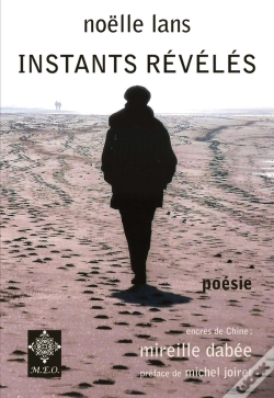 Capa do artigo Instants Révélés