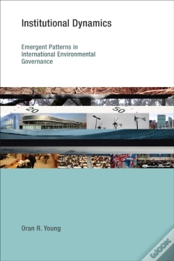 Capa do artigo Institutional Dynamics