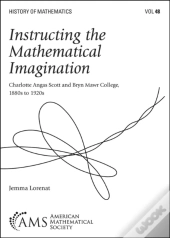 Instructing The Mathematical Imagination