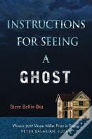 Instructions For Seeing A Ghost