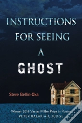 Instructions For Seeing A Ghost