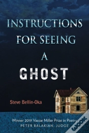 Capa do artigo Instructions For Seeing A Ghost