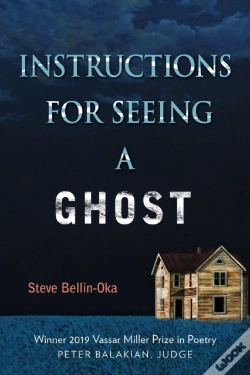 Capa do artigo Instructions For Seeing A Ghost