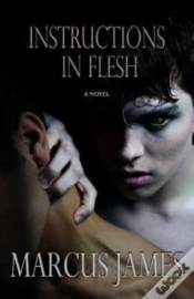 Capa do artigo Instructions In Flesh