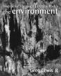 Instructor'S Manual To Chris Park'S The Environment - Preview
