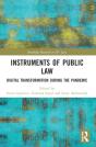 Instruments Of Public Law - Preview