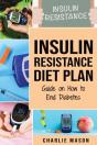 Insulin Resistance Diet Plan - Preview