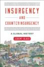 Insurgency Amp Counterinsurgencycb - Preview