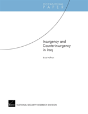 Insurgency And Counterinsurgency In Iraq - Preview