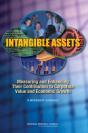 Intangible Assets - Preview