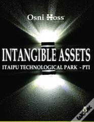 Intangible Assets