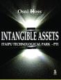 Intangible Assets - Preview
