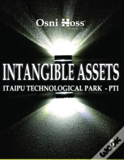 Capa do artigo Intangible Assets