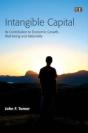 Intangible Capital - Preview
