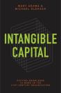 Intangible Capital - Preview