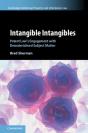 Intangible Intangibles - Preview