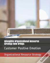 Intangible Organizational Resource Strategy How Brings