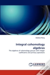 Integral Cohomology Algebras