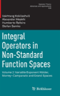 Integral Operators In Non-Standard Function Spaces - Preview
