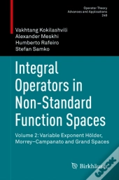 Integral Operators In Non-Standard Function Spaces