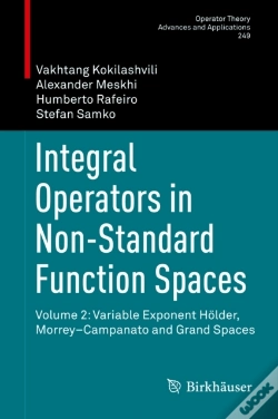 Capa do artigo Integral Operators In Non-Standard Function Spaces