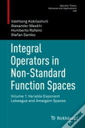 Integral Operators In Non-Standard Function Spaces