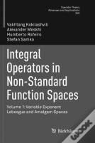 Integral Operators In Non-Standard Function Spaces