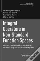 Integral Operators In Non-Standard Function Spaces