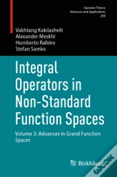 Integral Operators In Non-Standard Function Spaces