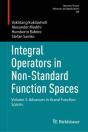 Integral Operators In Non-Standard Function Spaces - Preview