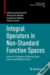Integral Operators In Non-Standard Function Spaces