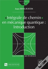 Integrale De Chemin En Mecanique Quantique: Introduction