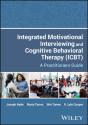 Integrated Motivational Interviewing And Cognitive Behavioral Therapy (Icbt) - Preview