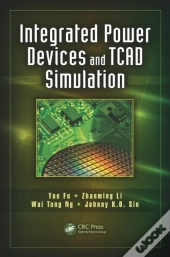 Integrated Power Devices And Tcad Simulation
