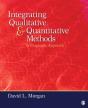Integrating Qualitative And Quantitative Methods - Preview