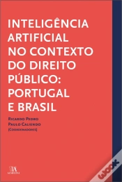 Capa do artigo Inteligência Artificial no Contexto Público: Portugal e Brasil