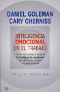 Inteligencia Emocional En El Trabajo - Preview