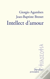 Capa do artigo Intellect D