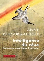 Intelligence Du Rêve : Fantasmes, Apparitions, Inspiration
