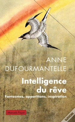 Capa do artigo Intelligence Du Rêve : Fantasmes, Apparitions, Inspiration