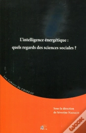 Capa do artigo Intelligence Énergétique : Quels Regards Des Sciences Sociales?